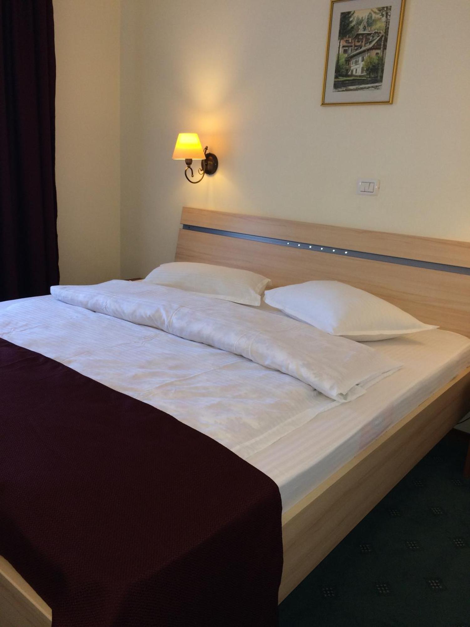 Hotel Bucegi Portile Regatului Пириул-Рече Номер фото